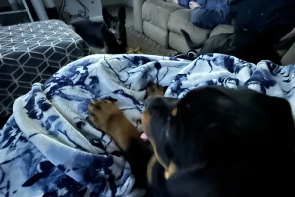 rs=w_1280,h_1707 (1)