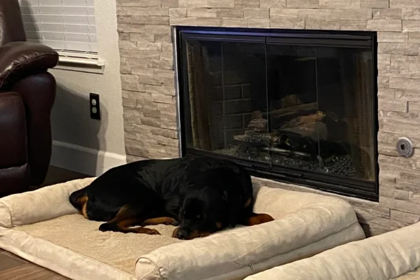 rs=w_2560,h_3413 (4)