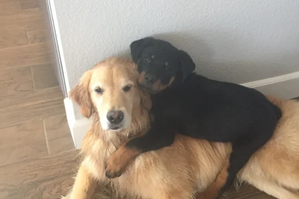 rs=w_2560,h_3413 (5)