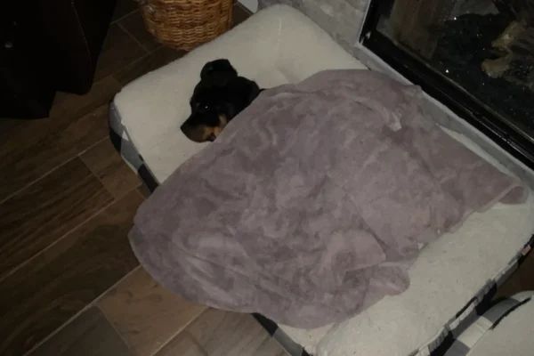 rs=w_2560,h_3413 (6)